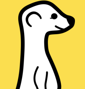 meerkat on yellow background